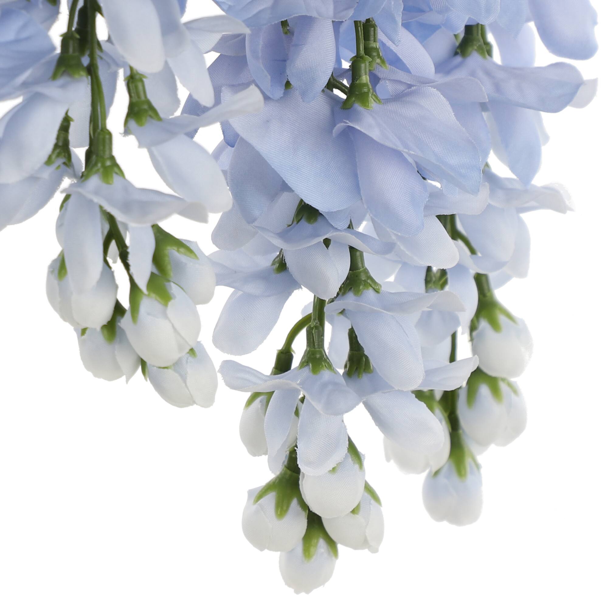 15 Pack: Blue Wisteria Bush by Ashland®